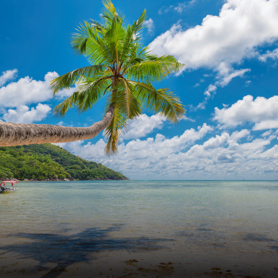 GOA