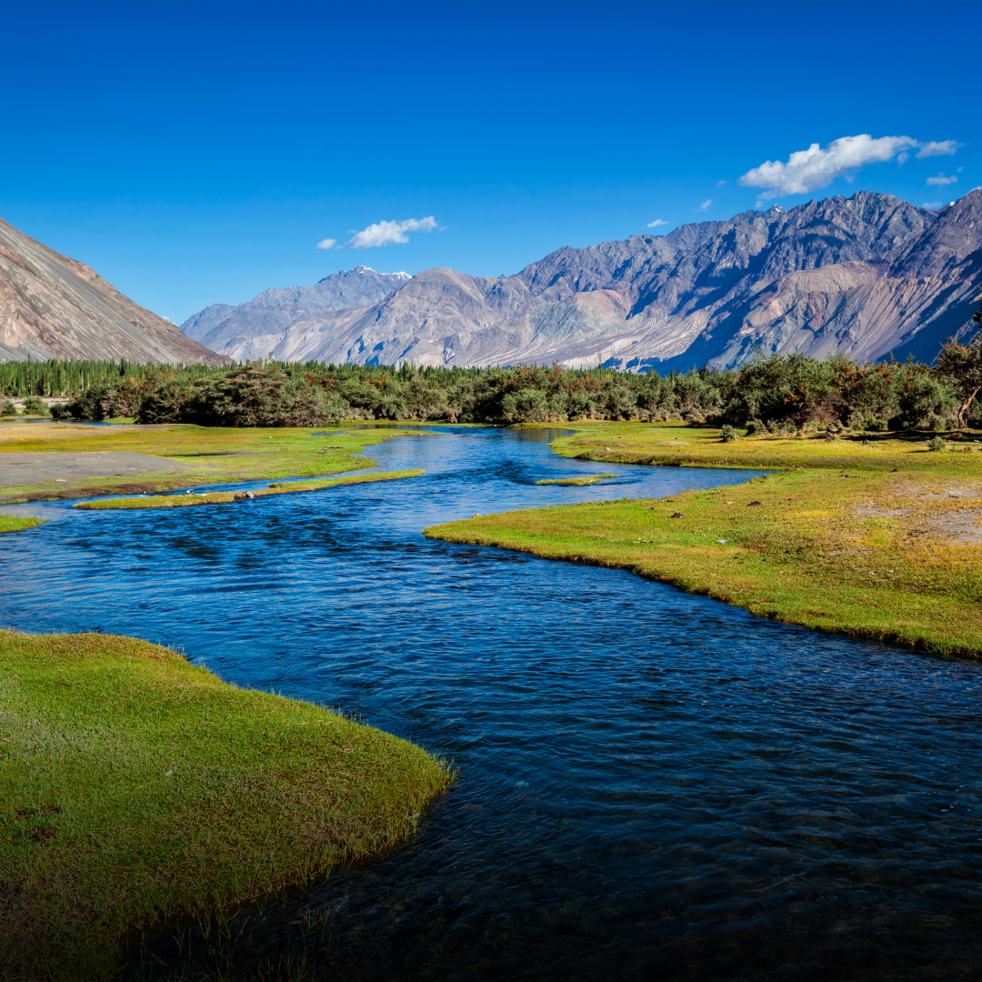 Jammu & Kashmir