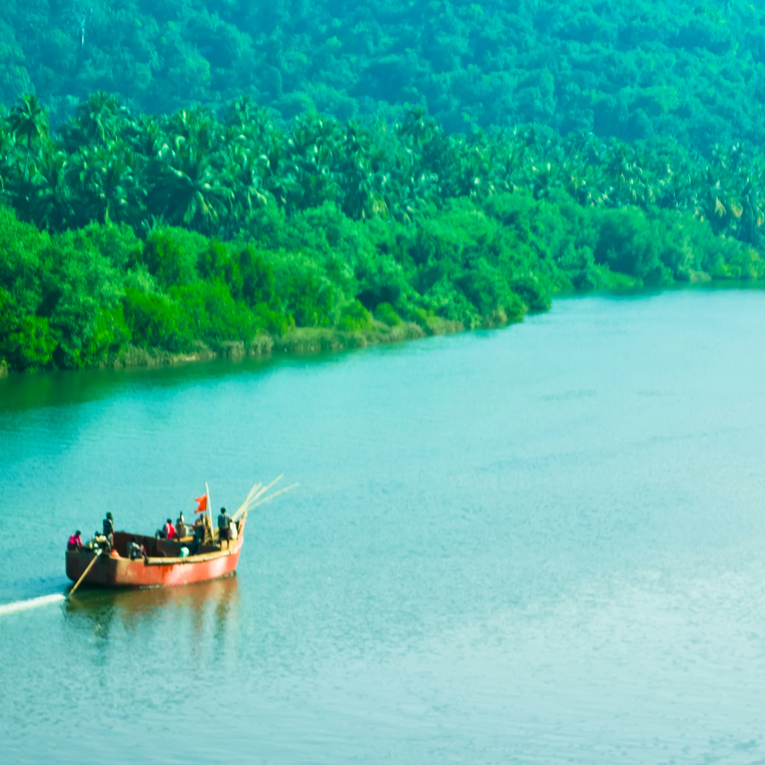 Kerala Luxury Backwater & Wellness Retreat (7 Days / 6 Nights)