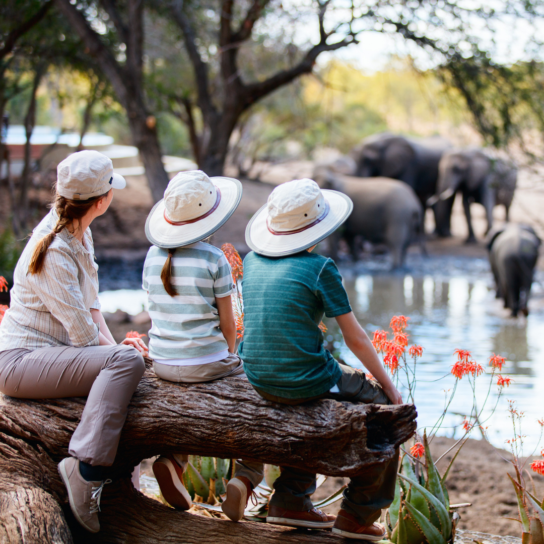 Rajasthan Heritage Family Tour – 7 Days / 6 Nights