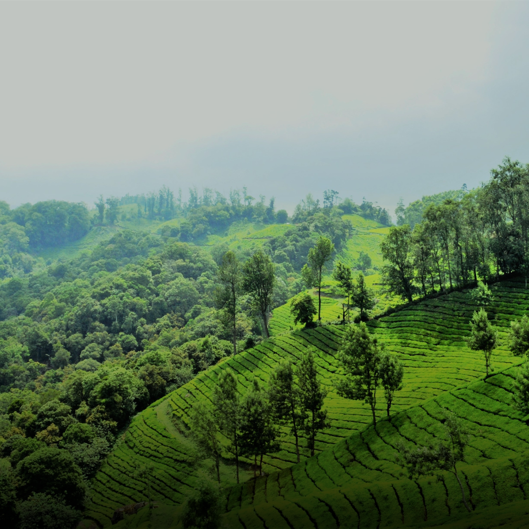 Kerala