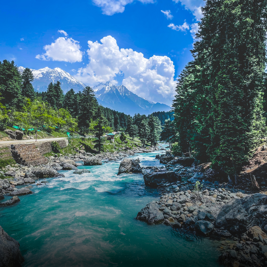 Kashmir