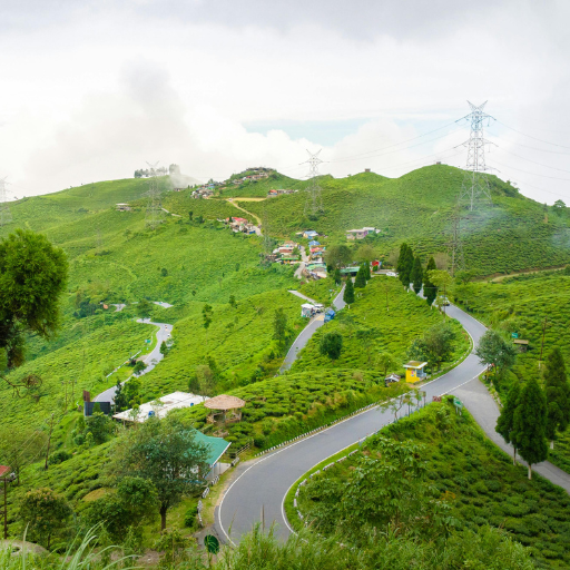 Darjeeling