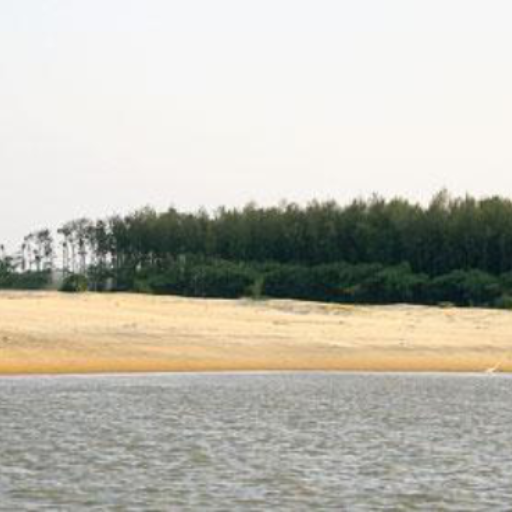 Assam